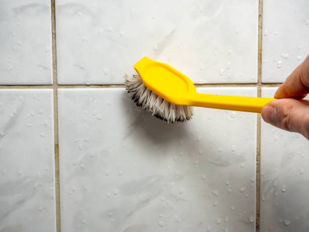 Best Health and Safety Mold Remediation in Long Creek, IL