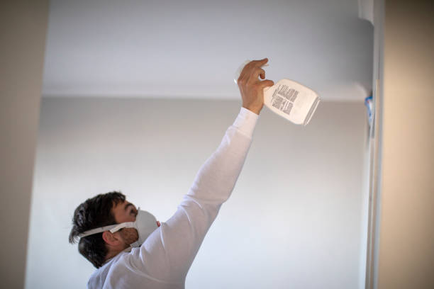 Reliable Long Creek, IL Mold Remediation Solutions