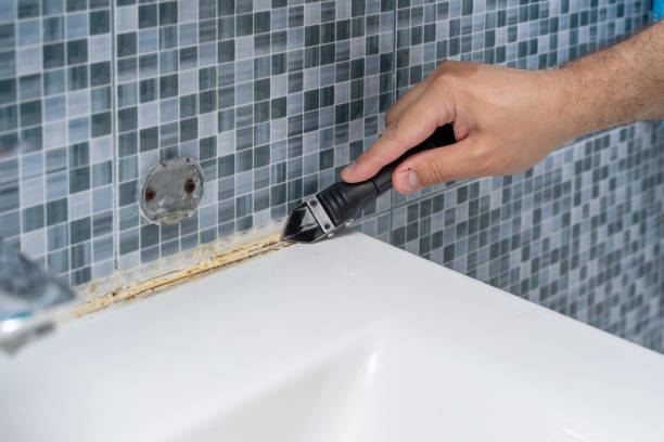 Best Black Mold Remediation in Long Creek, IL