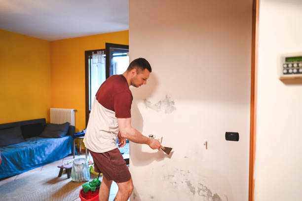 Best Attic Mold Remediation in Long Creek, IL